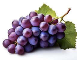 bunch of grapes isolated on white background photo
