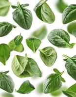 Flying spinach cuts and slices isolated on a white background photo