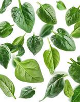 Flying spinach cuts and slices isolated on a white background photo