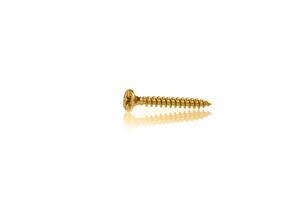 macro screw of golden color on a white background photo