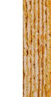 Delicious multi-layered cake with cream filling is showing its texture on white background photo