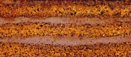 Delicious chocolate cake layers showing filling texture close up photo