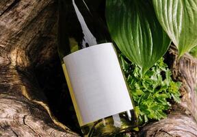 White wine bottle resting on a tree trunk surrounded by lush greenery photo