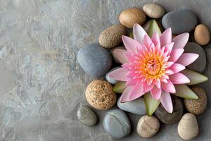 Zen garden. Beautiful lotus flower and stones on white sand flat lay photo