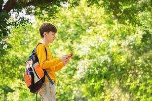 Front view of teenager using smatphone in the park. Man typing text, sms, messaging or do a call outside. photo