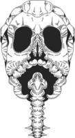 A cross hatched illustration of a skull with its cervical vertebrae, reminiscent of engraving style, simple yet meaningful. vector