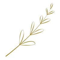 A branch with leaves on it is shown vector