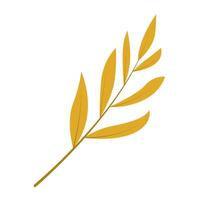 A leaf on a white background vector