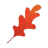 An orange leaf on a white background vector