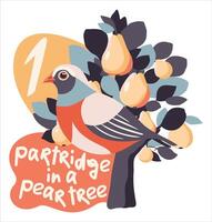 Partridge in a pear tree. The twelve days of Christmas. English Christmas carol. First day. isolated illustration vector