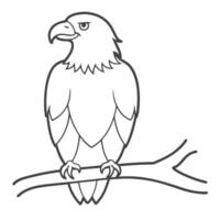angry eagle on a branch of a tree out line for children's coloring pages vector