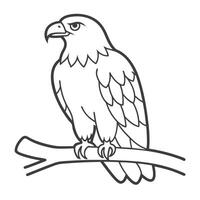 peaceful eagle on a branch of a tree out line for children's coloring pages vector