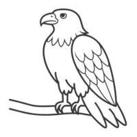 beautiful eagle on a branch of a tree out line for children's coloring pages vector