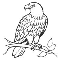 an eagle on a branch of a tree out line for children's coloring pages vector