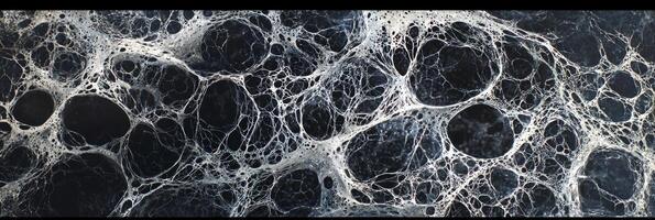 A stunning display of silver particles forms a complex geometric pattern, resembling a web-like structure that captivates with its futuristic design against a deep black background. photo