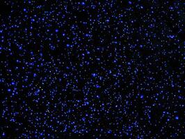 Delicate blue particles illuminate the darkness, creating an enchanting cosmic pattern reminiscent of stars twinkling in the vast night sky, captivating the viewer. photo