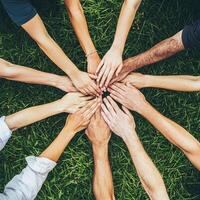 group of people from various backgrounds gathers in an outdoor park connecting by holding hands to signify unity and togetherness in a natural setting. photo