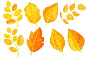 Various colorful autumn leaves in different shapes, illustrated in a vibrant graphic style on a white background, representing fall season. illustration vector
