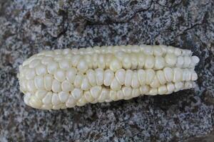 Maize corn, Corn or Corncob photo