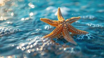 Starfish floating on top of ocean surface, surrounded by bubbles and light reflecting off the water. photo