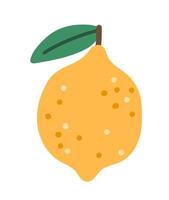 lemon icon. Citrus fruit illustration isolated on white background vector