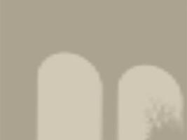 Windows Shadow Overlay Scene mocha Background vector