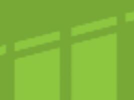 Windows Shadow Overlay Scene green Background vector