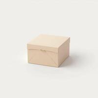 empty cardboard box isolated on white background. suitable for mockups. photo