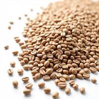coffee beans isolated on white background. photo