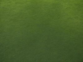 top view texture of green grass for background. photo