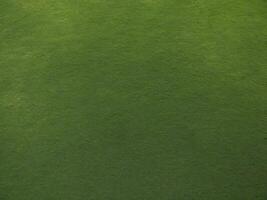 top view texture of green grass for background. photo