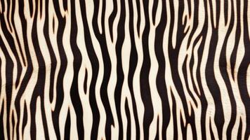 Zebra skin pattern with texture as background. photo