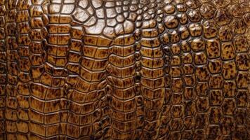 Crocodile skin pattern photo