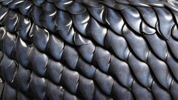 snake scale pattern photo