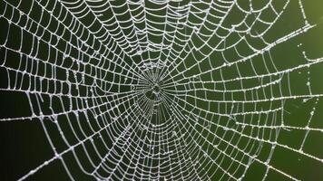 close-up of broken spider web photo