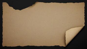 pieces of torn vintage paper with uneven edges. photo