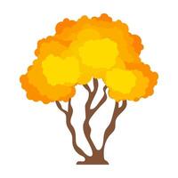 Flat style symbols of autumn trees collection vector