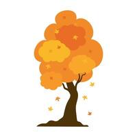 Playful autumn tree illustration in cartoon style, showing different types of trees and bushes with yellow and red leaves. vector