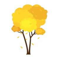 Autumn scenery with different types of yellow and red trees in a playful, cartoon design. vector