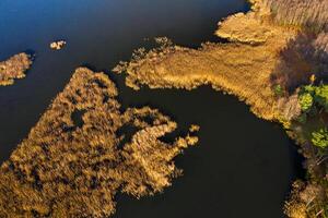 View from the height of the lake Papernya in Belarus. The Nature Of Belarus photo
