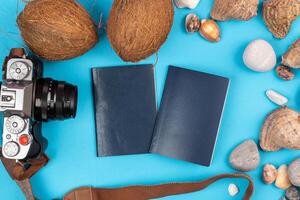 camera,coconuts, shells and documents on a blue background.Background for the traveler photo