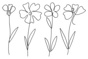 Single line art flower illustration collection.One continuous line art.Flowers collection vector