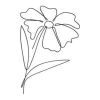 Single line art flower illustration.One continuous line art. vector