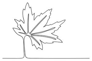 One continuous line maple leaf hand drawn isolated on white background . illustration vector