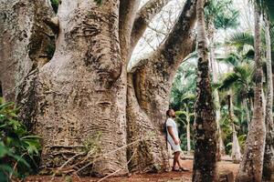 A man next to a baobab tree in a botanical garden on the island of Mauritius photo