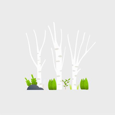 flat illustration of a forest with birch trees and plants