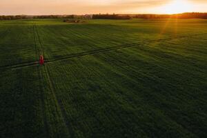 a beautiful girl in spring in a red dress is walking in a field at sunset. Taken from the air by a quadrocopter photo