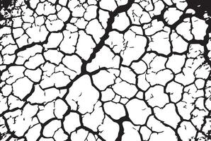 Black and white cracked ground texture pattern. Concept of nature illustration, dry soil, drought impression, abstract background. Print, design element, wallpaper vector