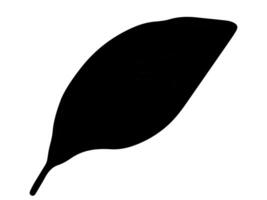 Black silhouette of a leaf on white background for nature illustration, flora design, minimalist style, botanical theme. Design element, icon, print. vector
