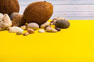 Coconuts, rocks and shells on a blue wooden background and a yellow background.Marine theme photo